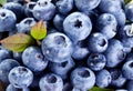 Ripe blueberries - food background.