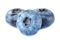 Ripe blueberries isolated on white background Royalty Free Stock Photo