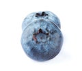 Ripe blueberries isolated on white background Royalty Free Stock Photo