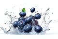 Ripe blueberries, leaves and splashes of water on a white background. AI generative