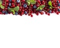 Ripe blueberries and red currants on a white background. Mixed berries at border of image with copy space for text. Royalty Free Stock Photo