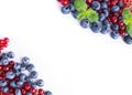 Ripe blueberries and red currants on white. Berries at border of image with copy space for text. Royalty Free Stock Photo