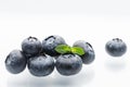 Ripe blueberries on a white background Royalty Free Stock Photo