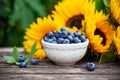 Ripe blueberries in white bowl with sunflower bouquet on wooden table, summer theme Royalty Free Stock Photo