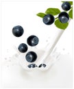 Ripe blueberry falling into the milky splash. Royalty Free Stock Photo