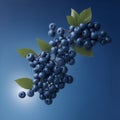 Ripe blueberry flying, falling fruit. Bilberry fruit with green leaves, fresh forest blueberry berries. Food and fruit drinks