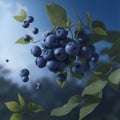 Ripe blueberry flying, falling fruit. Bilberry fruit with green leaves, fresh forest blueberry berries. Food and fruit drinks