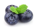 Ripe blueberry with mint