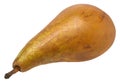Ripe bosc pear on isolated background Royalty Free Stock Photo