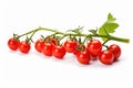 Ripe Branch cherry tomatoes. Generate Ai