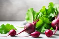 Juicy beetroot with green tops leaves on a white background. Seasonal harvest Royalty Free Stock Photo