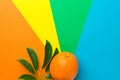 Ripe bright juicy orange tropical plant leaf on rainbow multicolored pinwheel striped sunburst background. Healthy food