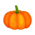 Ripe bright orange pumpkin. Natural and healthy food. Organic farm product. Ingredient for vegetarian dish. Cartoon