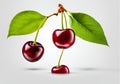 Illustration of red cherries on white infinite background.