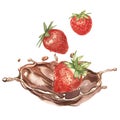 A ripe, bright red strawberry with pieces of chocolate. Hand drawn watercolor painting illustration.