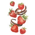 A ripe, bright red strawberry with pieces of chocolate. Hand drawn watercolor painting illustration.