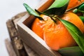 Ripe bright tangerines with green leaves in wood box, Christmas