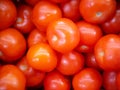 Ripe bright tomatoes close-up