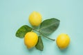 Ripe Bright Yellow Lemons on Branch with Green Leaves on Turquoise Background. Ayurveda Skin Body Care Organic Cosmetics