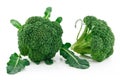 Ripe Broccoli Cabbage Isolated on White Royalty Free Stock Photo