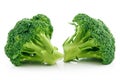 Ripe Broccoli Cabbage Isolated on White Royalty Free Stock Photo