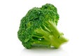 Ripe Broccoli Cabbage Isolated on White Royalty Free Stock Photo