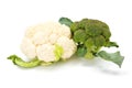 Ripe broccoli and cauliflower crops on leaves Royalty Free Stock Photo