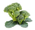 Ripe broccoli crops on leaves Royalty Free Stock Photo