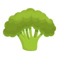 Ripe broccoli icon, cartoon style