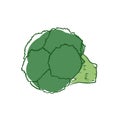 Ripe broccoli isolated vector icon