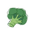 Ripe broccoli sprouts isolated vector icon