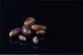 Ripe brown acorns (quercus) on black reflecting underground