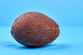 Ripe brown coconut on blue background. Royalty Free Stock Photo