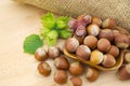 Ripe brown hazelnuts and young hazelnuts with leafs