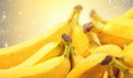 Ripe bunch bananas with glistening droplets on a vibrant yellow backdrop. Created by AI