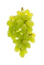 Ripe bunch green grapes isolated on the white background