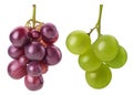 Ripe bunch green and red grapes