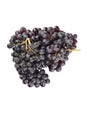 A bunch of raisin grapes isolated on a white background Royalty Free Stock Photo