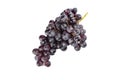 Ripe bunch of raisins grapes isolated on a white background Royalty Free Stock Photo