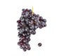 Ripe bunch of raisins grapes isolated on a white background Royalty Free Stock Photo
