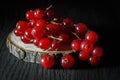Ripe bunch of red currants on a cut of a tree, dark background