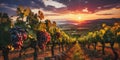 Ripe bunches of grapes with bright leaves against the background of the sunset. Generation AI Royalty Free Stock Photo