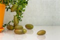 Ripe burgundy green finger-shaped citrus fruits on the dinner table, close-up. Indoor growing of the outlandish citrus plant