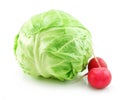 Ripe Cabbage and Radishes Isolated on White