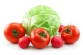 Ripe Cabbage, Radishes and Tomatoes Isolated