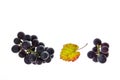 Ripe cabernet sauvignon grapes with leaf isolated on white background