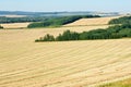 Ripe canola fields in fall Royalty Free Stock Photo