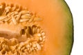 Ripe cantaloupe Royalty Free Stock Photo