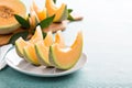 Ripe cantaloupe slices on a plate Royalty Free Stock Photo