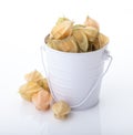 Ripe cape gooseberry or physalis Royalty Free Stock Photo